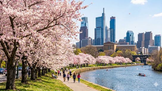 A Sure Sign of Spring in Philadelphia: Cherry Blossoms Transform the City