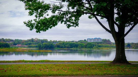 Pennsylvania's capital region ranks among America's safest places to visit this summer (Live in Pennsylvania )